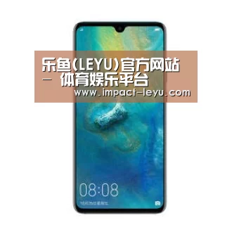华为无线快充手机