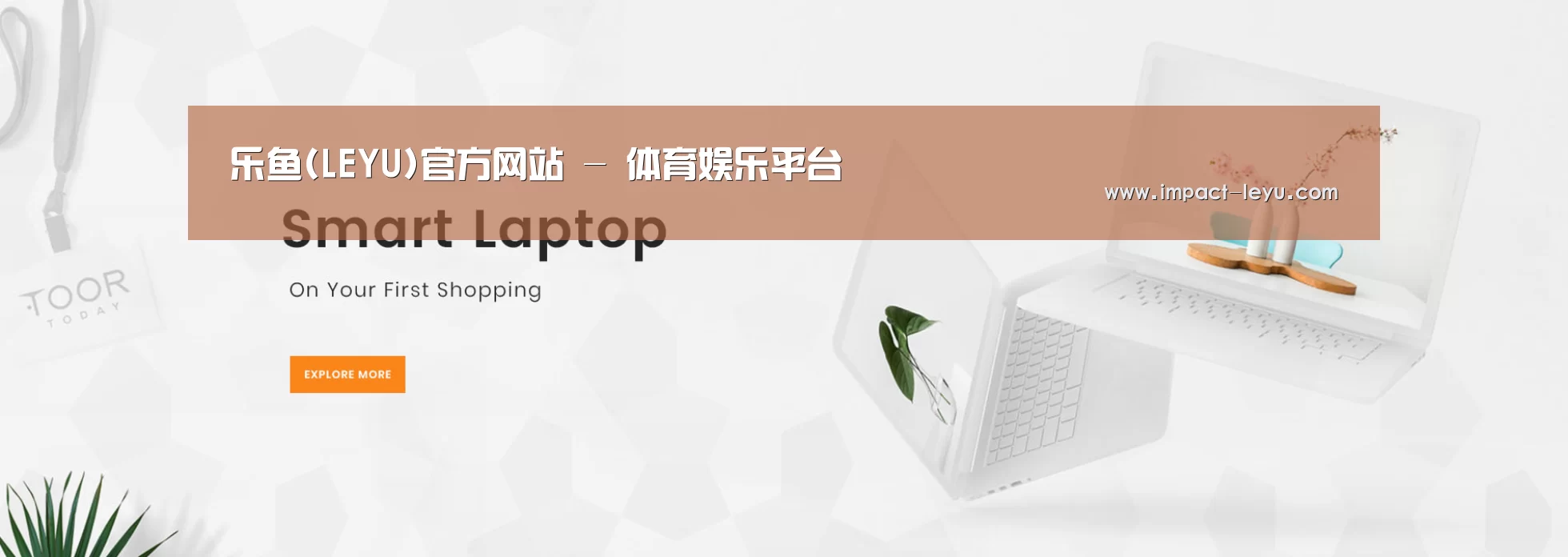 某某网络科技有限公司