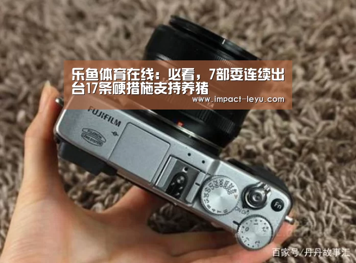 乐鱼体育在线:必看,7部委连续出台17条硬措施支持养猪(图2) 乐鱼