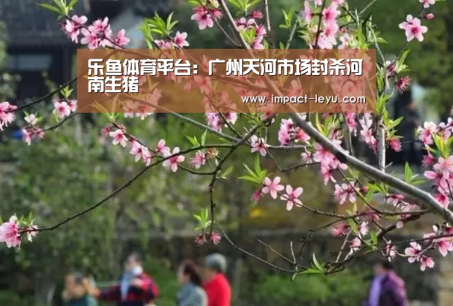 乐鱼
