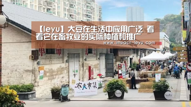 【leyu】大豆在生活中应用广泛 看看它在畜牧业的实际种植和推广(图1) 【leyu】大豆在生活中应用广泛 看看它在畜牧业的实际种植和推广(图1)