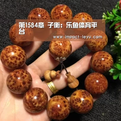 乐鱼体育在线